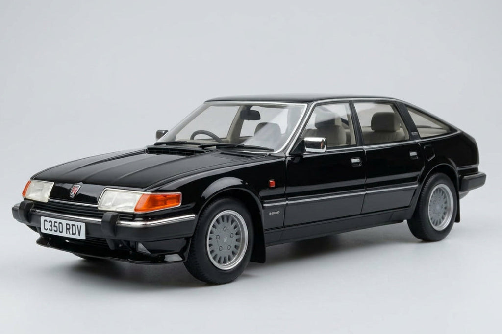 Rover 3500 Vanden Plas Hot