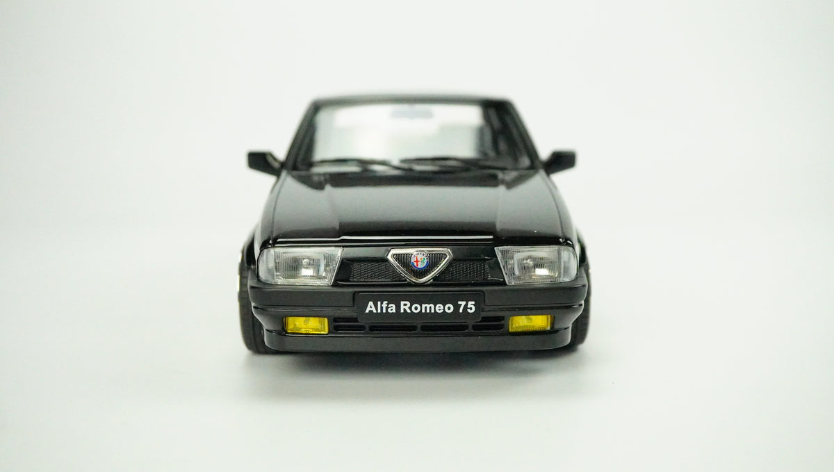 Sammler Hot Top New  1:18