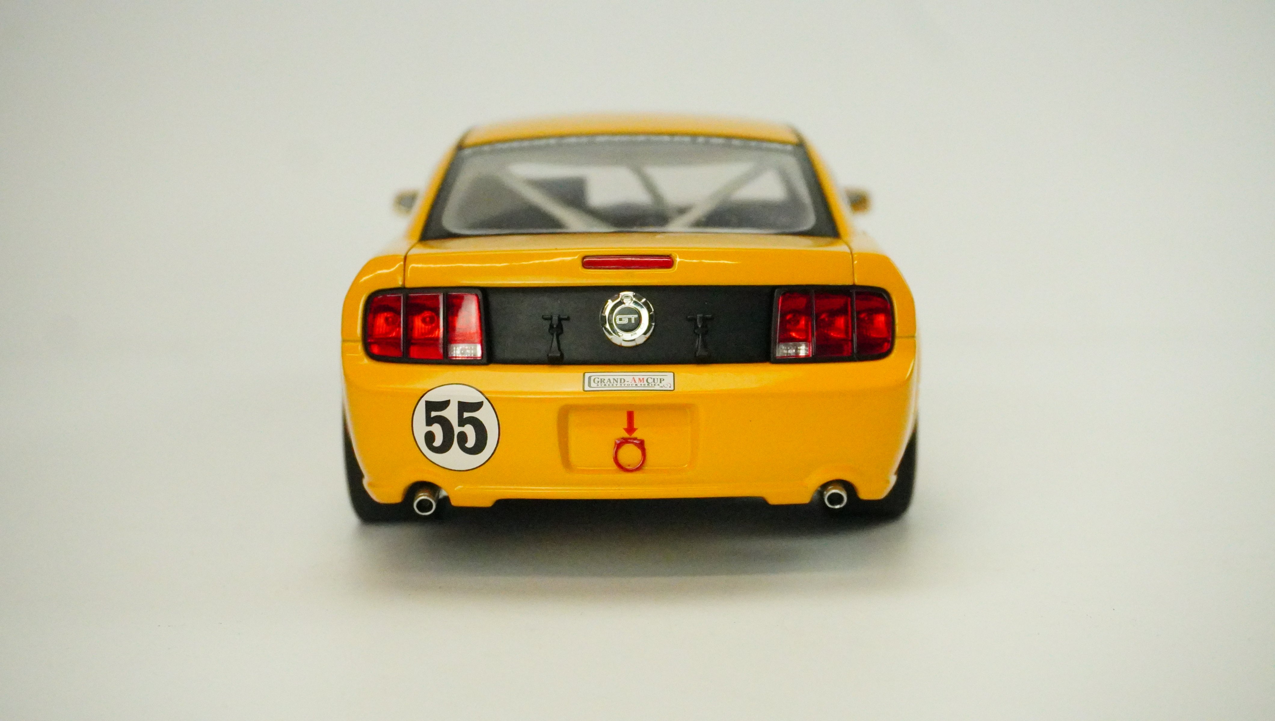 Ford Mustang FR500C Racing Nr.55 1:18