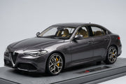 Automodelle Sammler  1:18 Modelcarshop Top