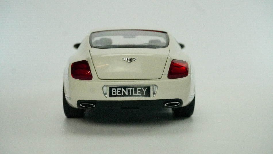 Hot New Sammler Shop 1:18